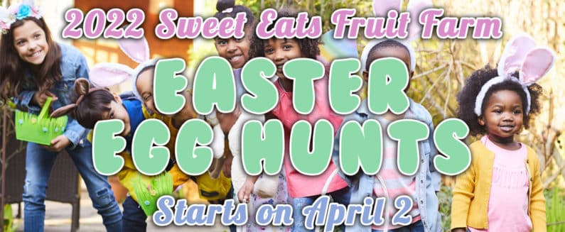 2022 Sweet Eats Fruit Farm Easter Egg Hunts