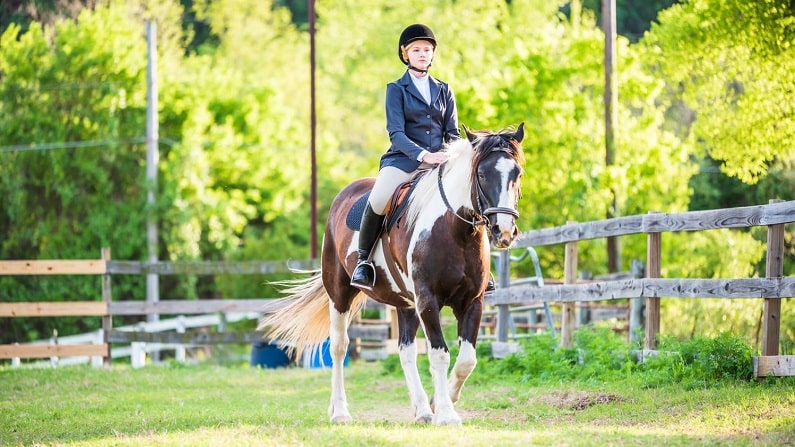 Horse Riding Lessons in Austin - Tri-Star Farm