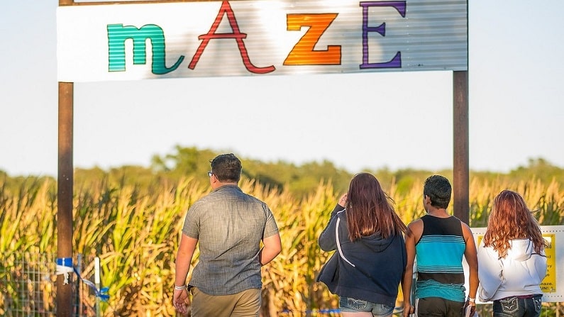 Corn Maze Austin - Lone Star Family Farm