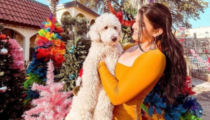 Things to do in Austin this week of November 28 | Winter Wanderland Austin Motel