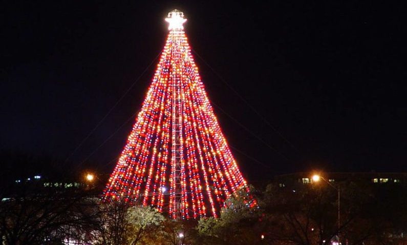 Christmas Show Austin - Austin Trail of Lights - Zilker Tree