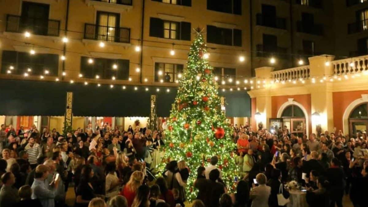 Christmas Tree Lighting Austin | Christmas Tree Lighting at Hotel Granduca