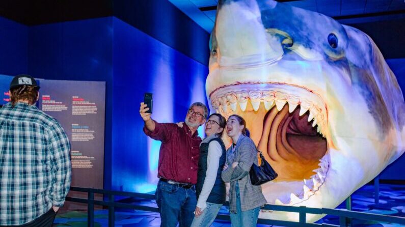 Museums in Austin - Bullock Texas State History Museum