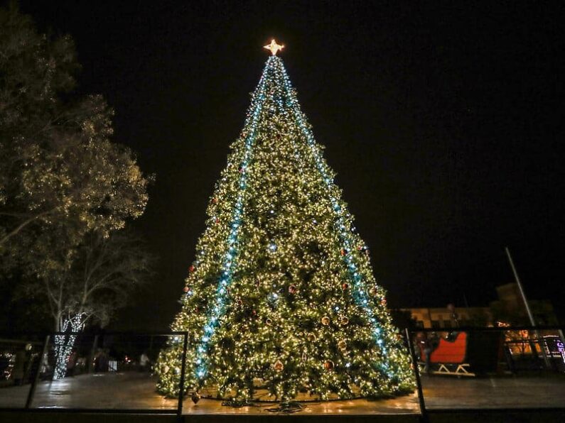 christmas tree lighting austin