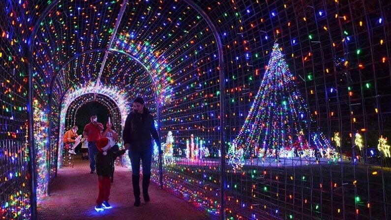 Lakeway Trail of Lights Austin