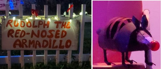 2024 Guide to 37th Street Lights in Austin - Red Nosed Armadillo