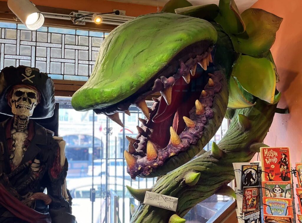 Museum of the Weird: Quirk, Unique Museums in Austin