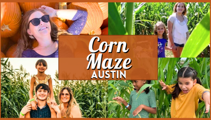 Corn Maze Austin - Collage