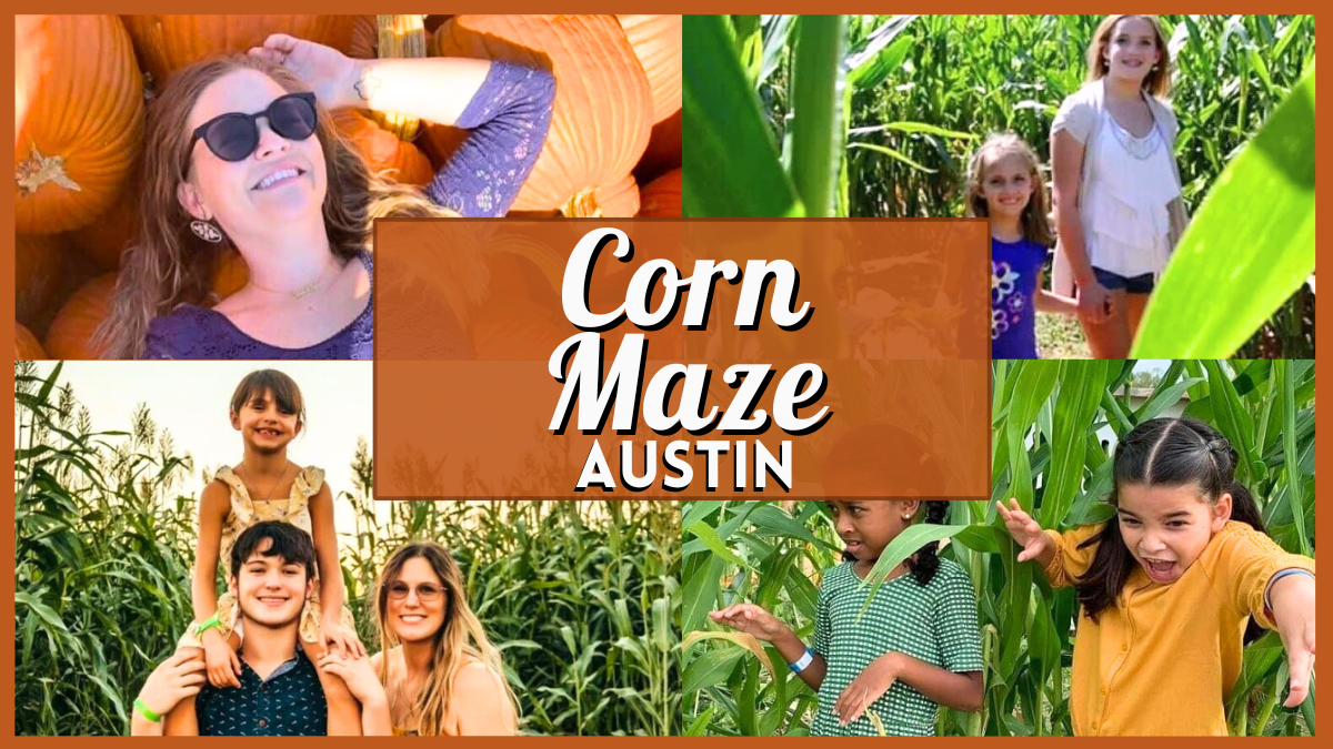 Corn Maze Austin - Collage