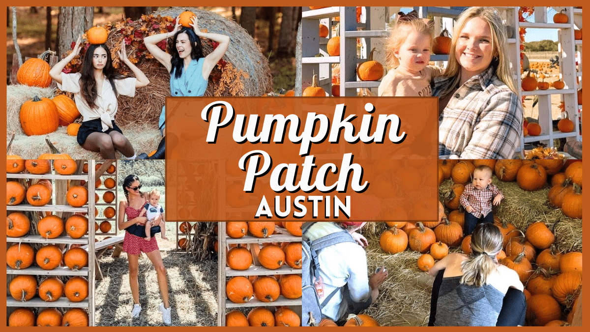 Pumpkin Patch Austin - Collage