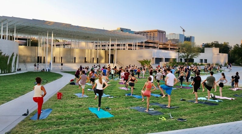 Austin picks Nov 3 to 6 2025 - Waterloo Wellness