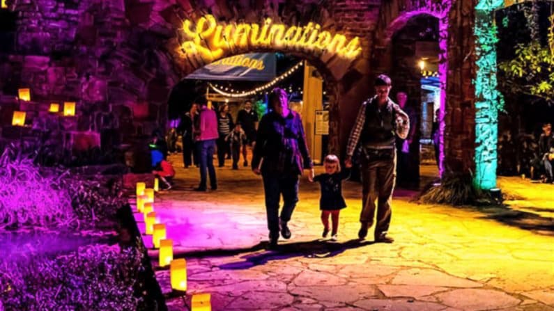 Christmas Lights Austin - Luminations at the Wildflower Center