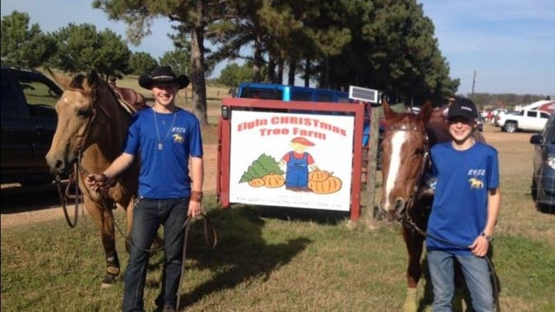 Christmas Trees in Austin - Elgin Christmas Tree Farm
