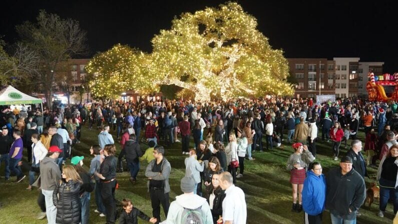Christmas Tree Lighting in Austin
