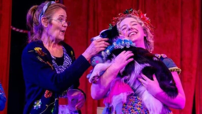 Free and fun events in Austin Dec 19 - 21- The Mutt-Cracker (SWEET!)