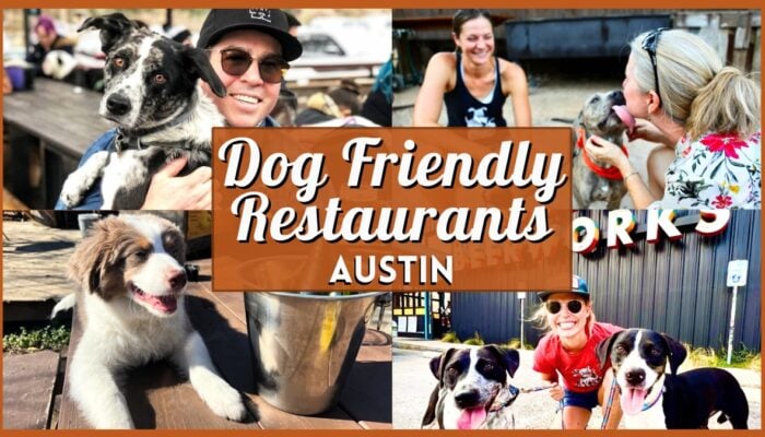 Dog Friendly Restaurants Austin