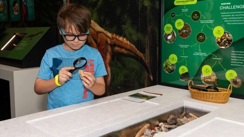 Kids events in Austin in July 2026 - Dinosaur Day