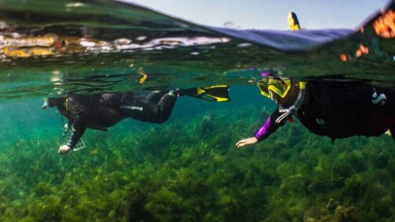 Kids events in Austin in August 2026 - Science Guided Snorkel Tours at Spring Lake