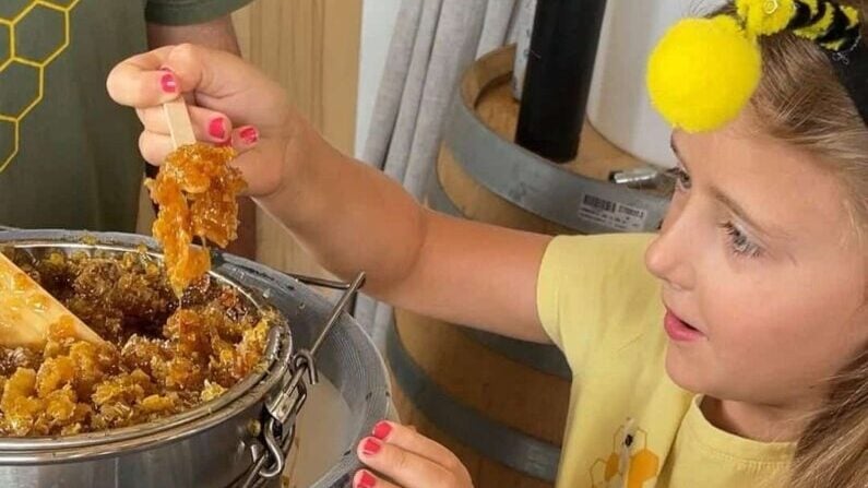 Top events in Austin this weekend of July 24 - 26 2026 - Driftwood Honey Harvest Festival