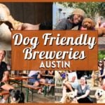 Dog Friendly Breweries Austin