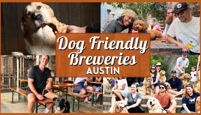 Dog Friendly Breweries Austin