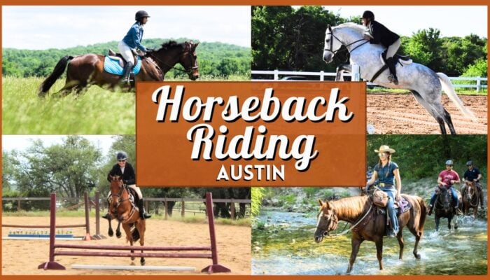 Horseback Riding in Austin