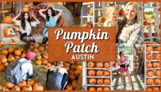 Pumpkin Patch Austin